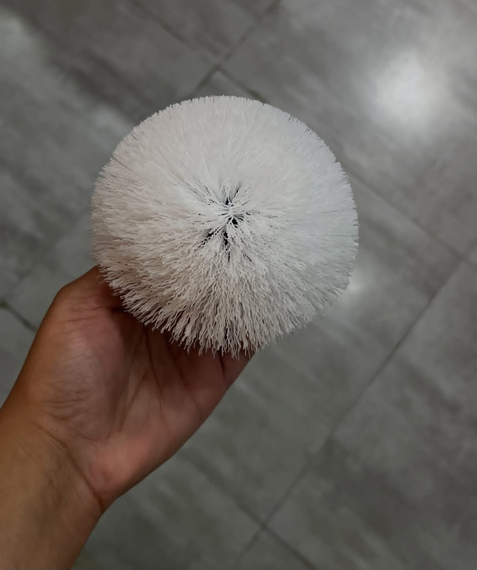 فرچه سارژی سوکانی۱۳۰۵۸